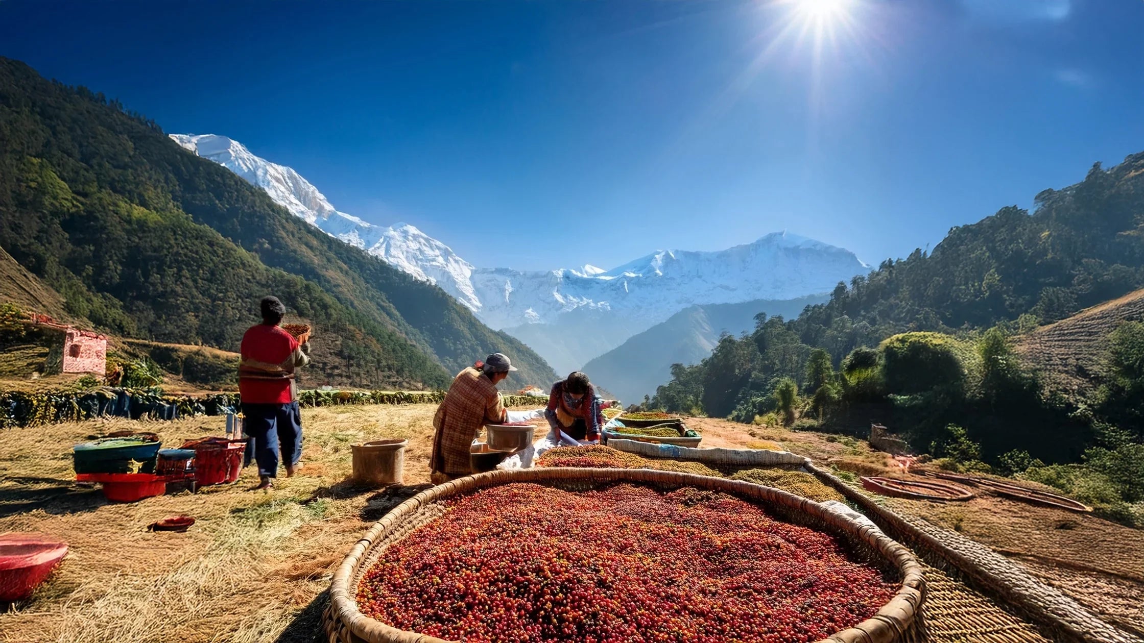 Timut-Pfeffer – das exotische Gewürz mit Zitronennote